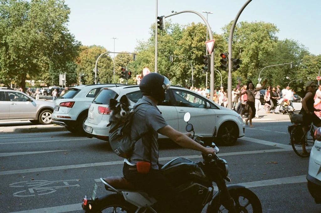 Darya Sannikova באתר PEXELS זיהוי סימנים לאלרגיות אצל כלבים וחתולים: מה צריך לדעת?