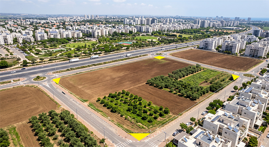 מגרשים למכירה ברעננה: המדריך למשקיע שרוצה נתח מהעיר המבוקשת
